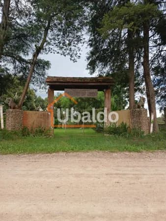 Fazenda/Sítios/Chácaras em Araucária - Guajuvira