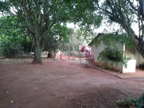 Fazenda/Sítios/Chácaras em Jardinópolis - Centro