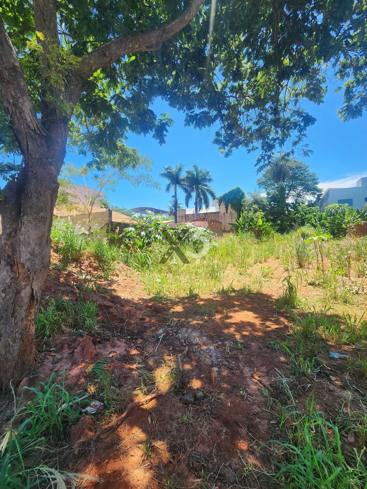 Terreno no centro de Porto Rico PR