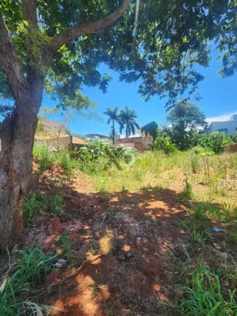 Terreno no centro de Porto Rico PR