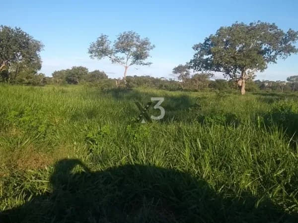 FAZENDA À VENDA - 1.600 hectares – DIVISA MT/GO (Cocalinho – MT / Bandeirantes – GO)