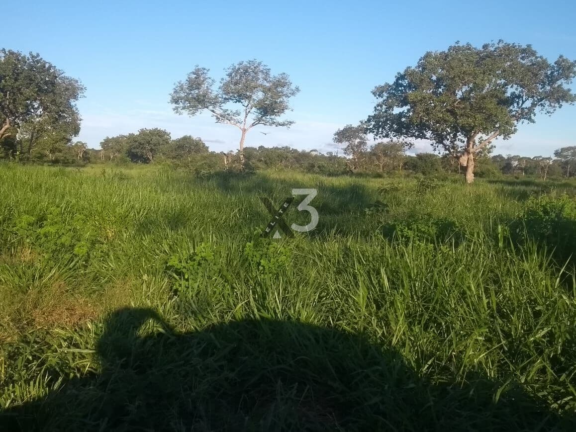FAZENDA À VENDA - 1.600 hectares – DIVISA MT/GO (Cocalinho – MT / Bandeirantes – GO)