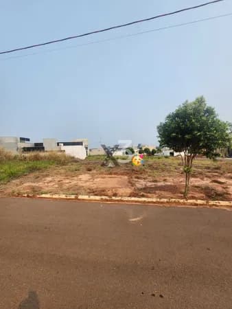Lote/Terreno em Porto Rico - Madri