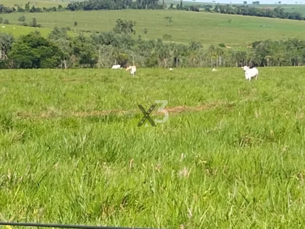 Área Rural Qcia do Norte - Pr