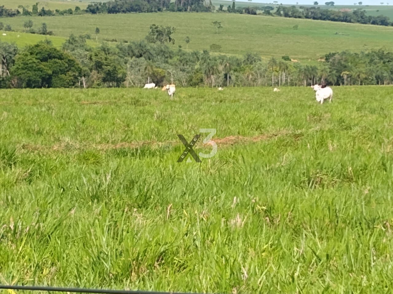 Área Rural Qcia do Norte - Pr
