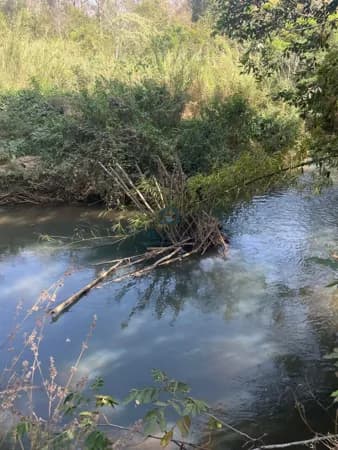 Fazenda/Sítios/Chácaras em Senador Canedo - Parque Alvorada 2A
