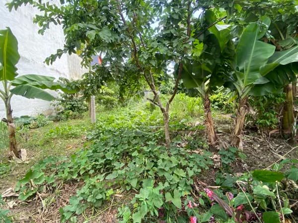 Terreno plano com excelente localização