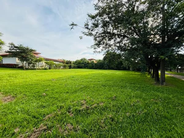 Excelente oportunidade de investimento! Este terreno de 1059