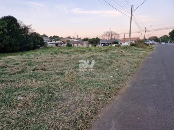 Lote/Terreno em Guarapuava - Vila Bela