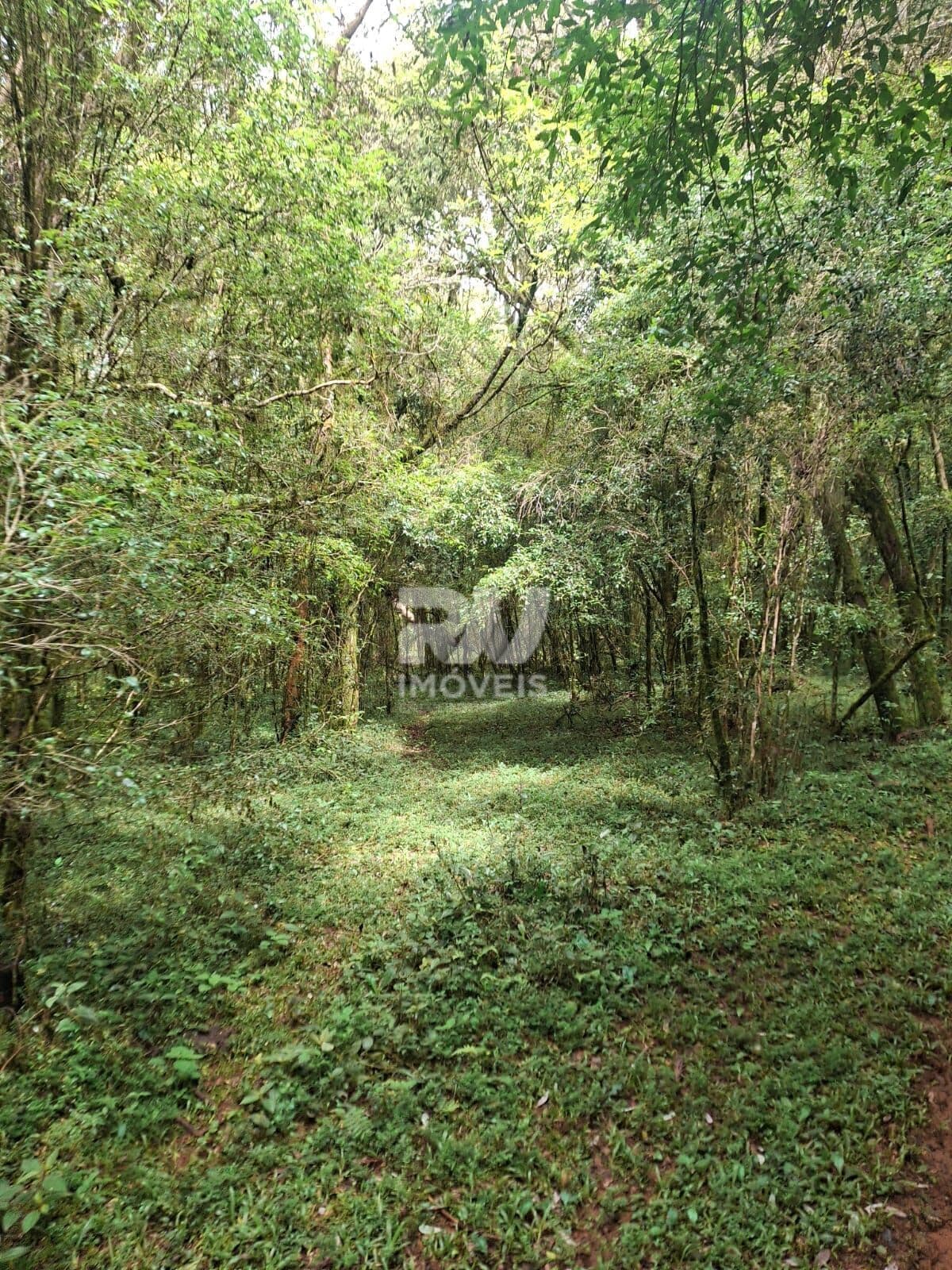 Área Rural Guabiroba