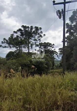 Fazenda/Sítios/Chácaras em Guarapuava - Alto da XV