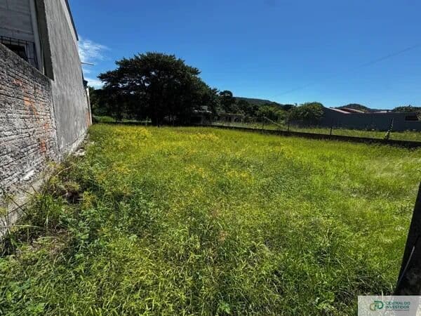 Terreno Amplo Em Mariscal Pronto para Construir! Oportunidade Perfeita para Investir Em Bombinhas/SC