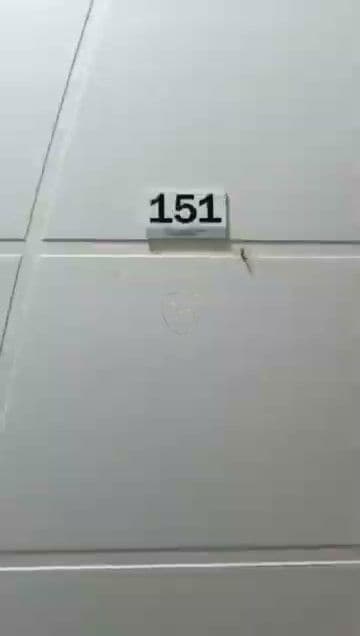 Apartamento 2 dormitórios, sacada - Aviação