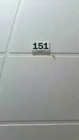 Apartamento 2 dormitórios, sacada - Aviação