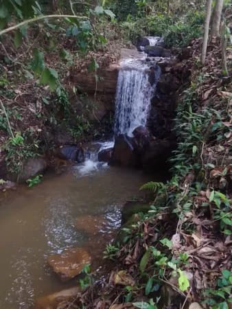 Fazenda/Sítios/Chácaras em Iguaí - Centro