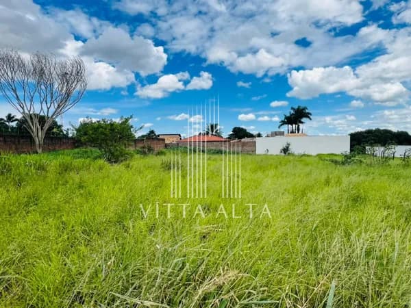 🏡 Terreno à Venda – Parque dos Pássaros | 1.000m² | Zona Sul de São José do Rio Preto