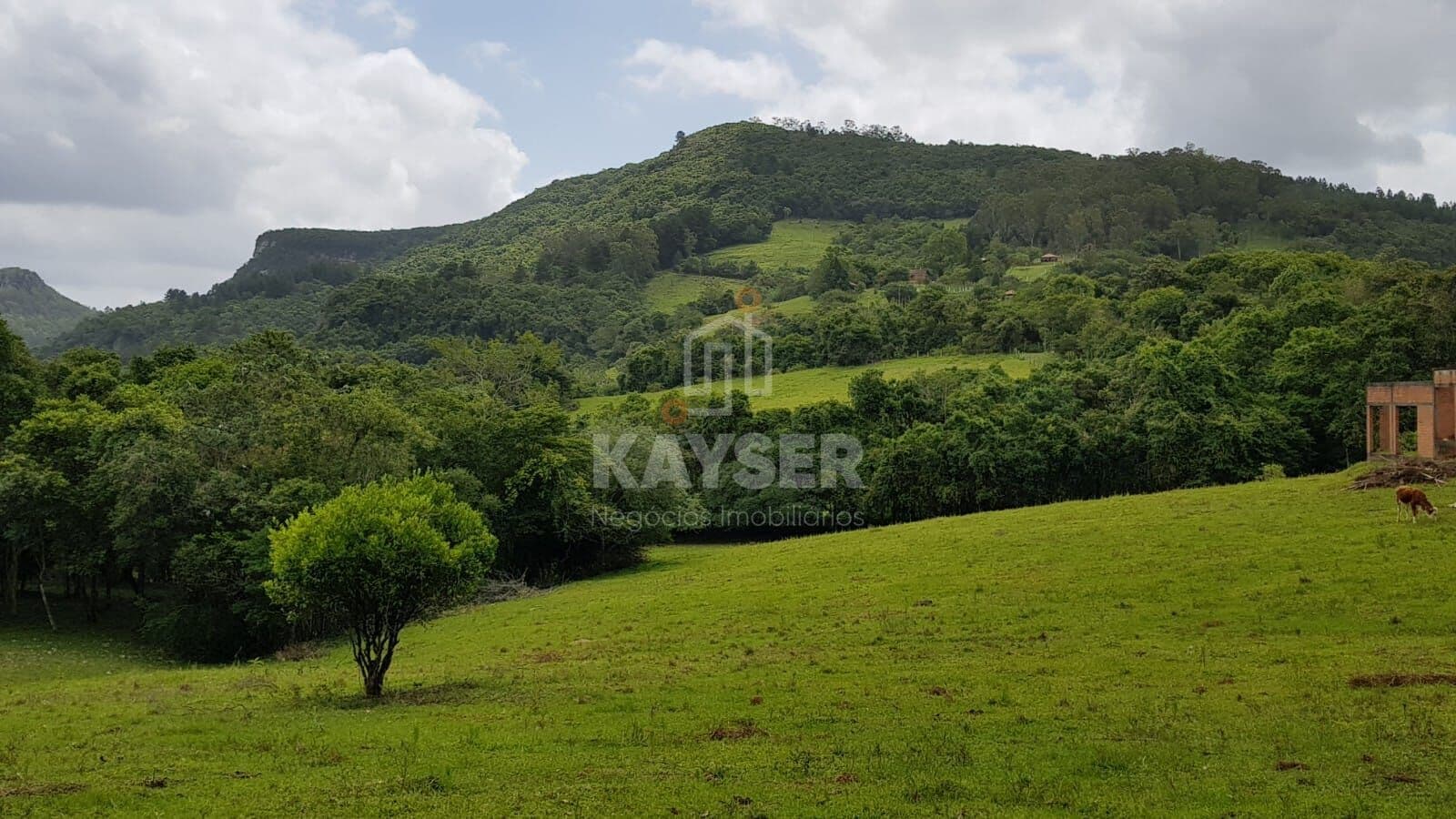 Fazenda/Sítios/Chácaras em Gravataí - Morungava