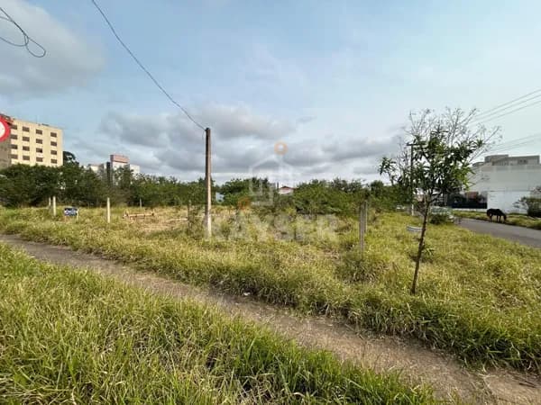 Lote/Terreno em Cachoeirinha - Vila Princesa Izabel