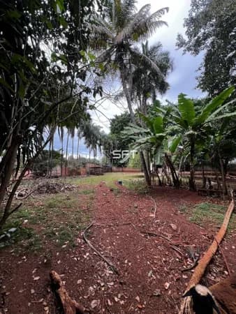 Chácara à venda, 5000m² por R$ 1.500.000 - Jardim Marília - Dourados/MS