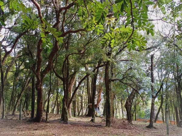 Terreno amplo com 1.171 m² para construção comercial ou residencial