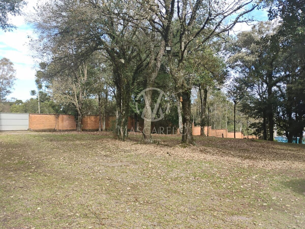 Terreno amplo de 1.313 m² para construção comercial ou residencial