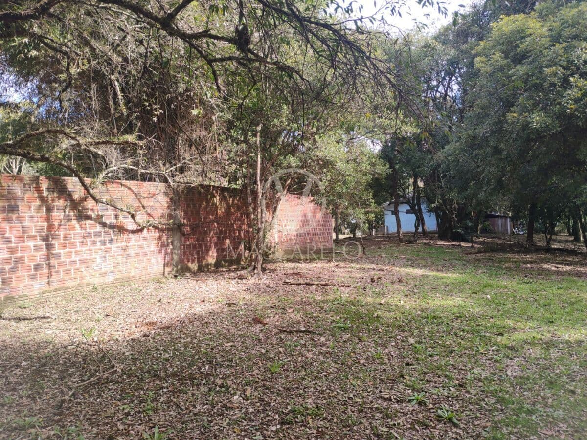 Lote/Terreno em Caxias do Sul - São Virgílio