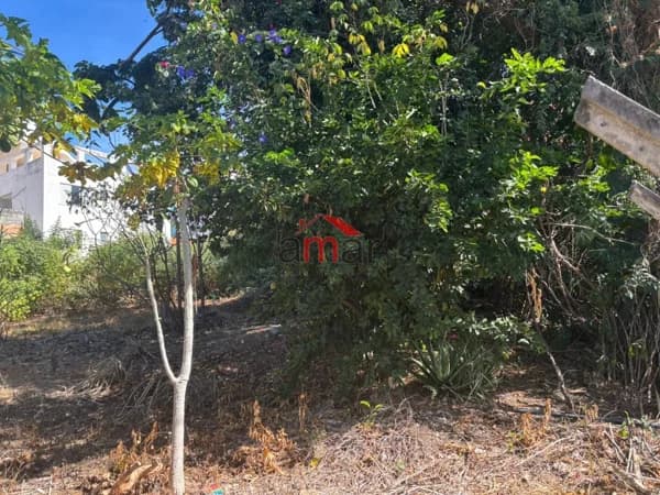 Terreno à venda no bairro Castelo em Belo Horizonte/MG