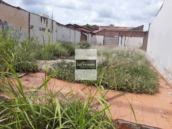 Terreno Área central