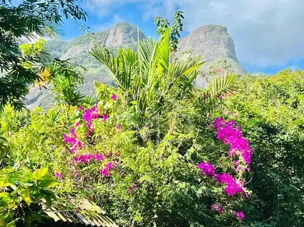Lote/Terreno em Rio de Janeiro - Joá