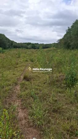 Terreno - O Cenário Perfeito para Pecuária com Riqueza Hídrica