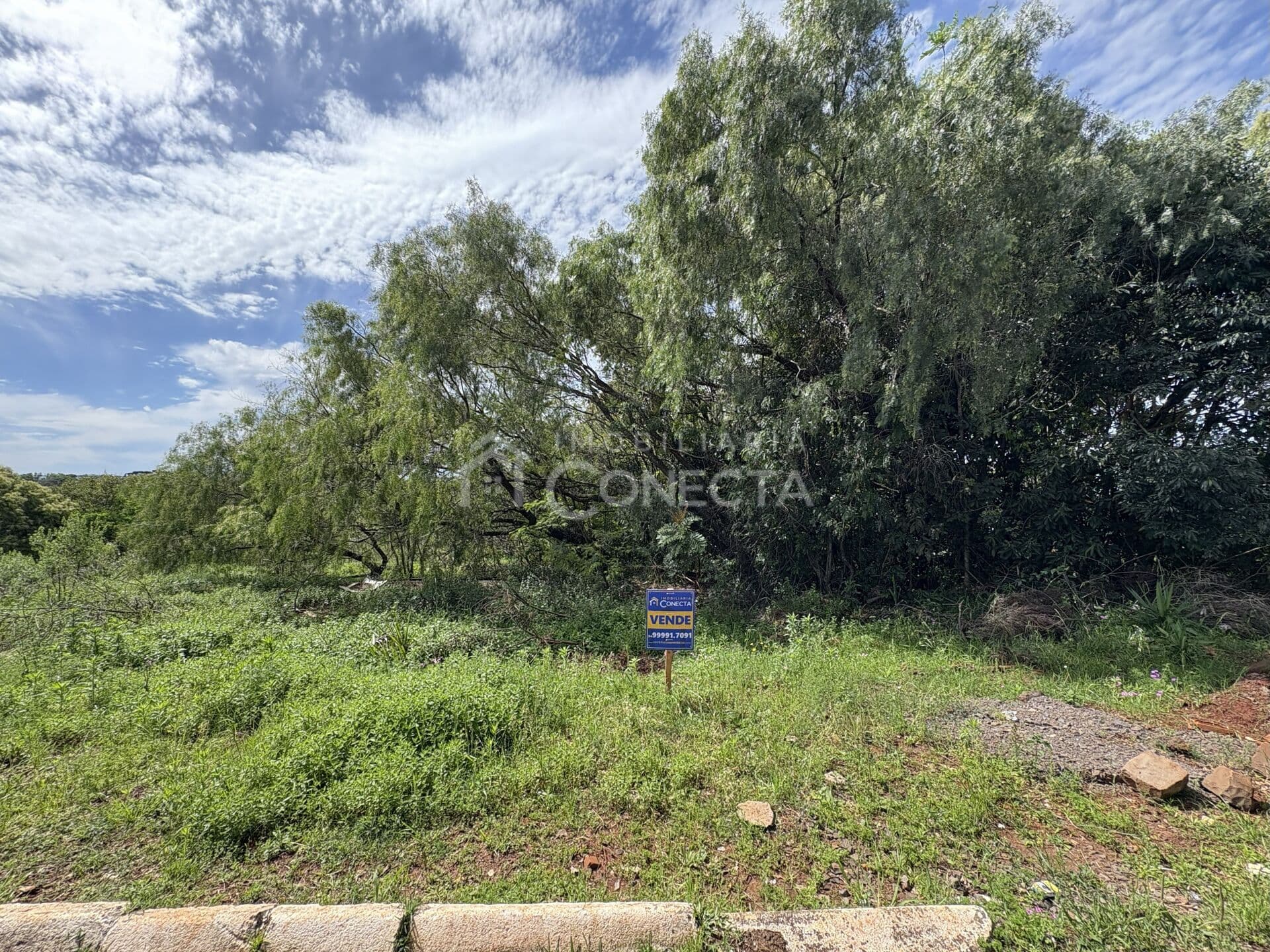 Oportunidade para investir em terreno comercial e residencial!