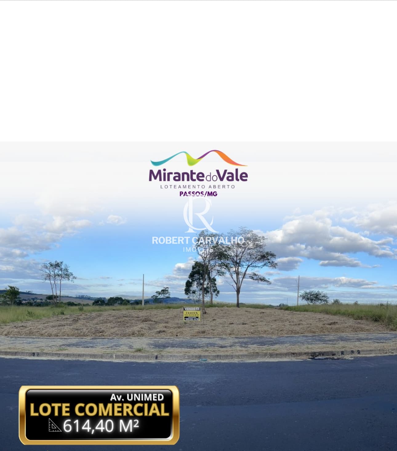 Lote/Terreno em Passos - Mirante do Vale
