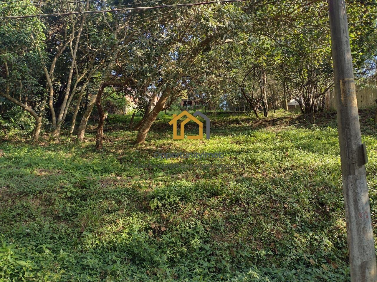 Terreno de 1.450m² em Aclive na Granja Viana – Condomínio Chácara Santa Lúcia
