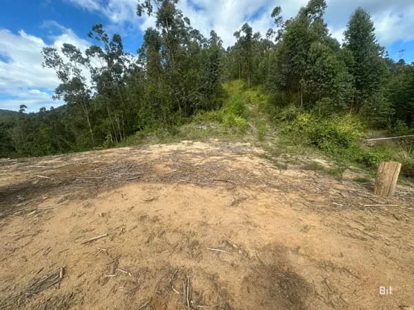 Sítio em Pedras Grandes