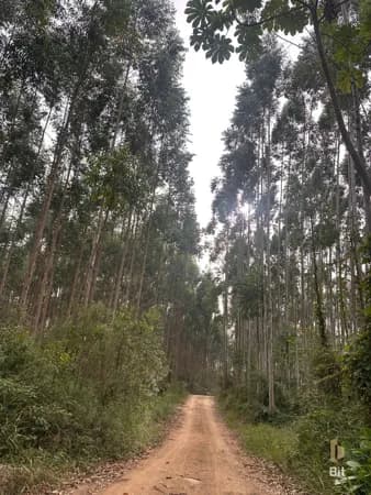 Sítio em Pedras Grandes