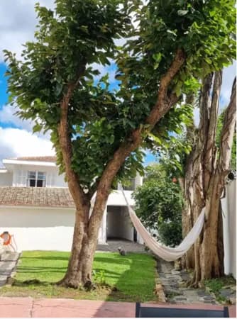Casa com 4 quartos à venda no Jardim Botânico em Curitiba| Terreno amplo e alto potencial de valorização