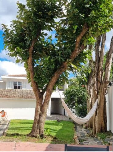 Casa com 4 quartos à venda no Jardim Botânico em Curitiba| Terreno amplo e alto potencial de valorização
