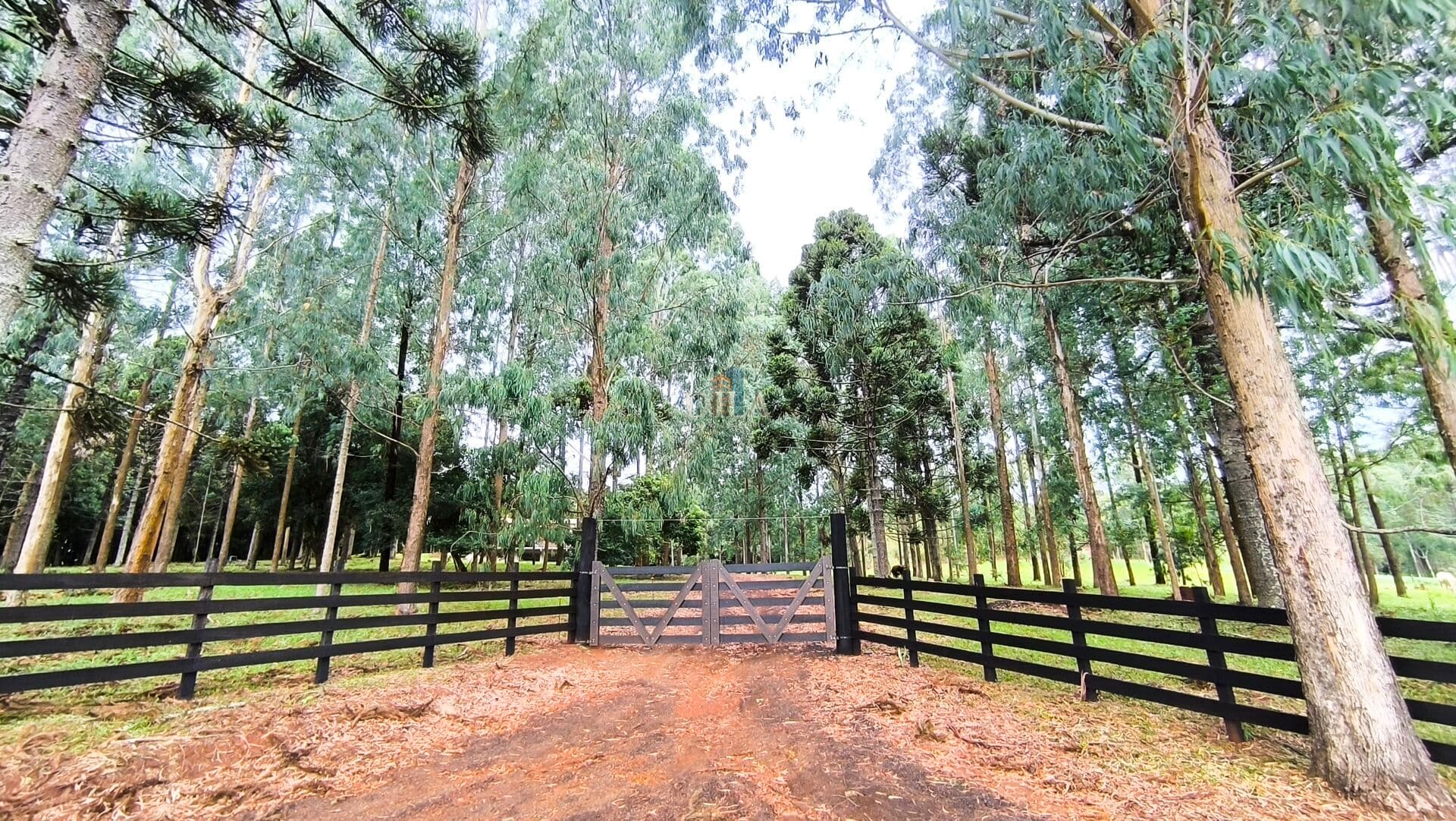 Fazenda/Sítios/Chácaras em Guarapuava - Boqueirão