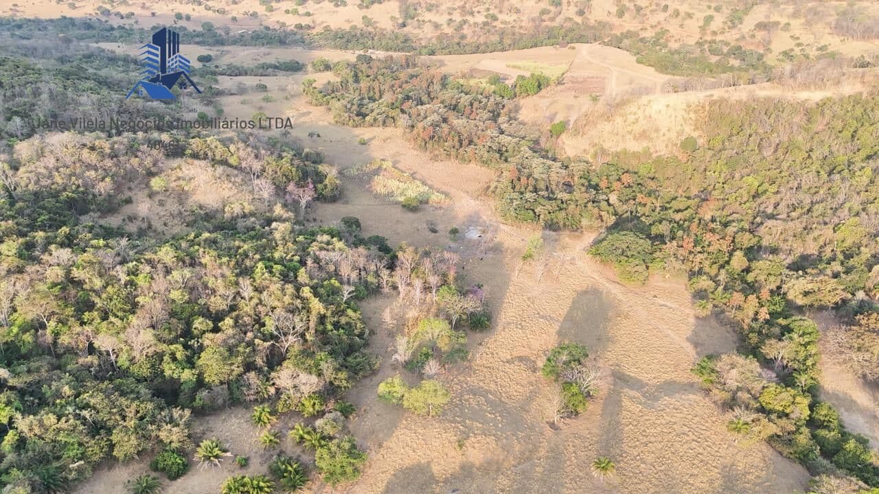 Fazenda/Sítios/Chácaras em Bom Jardim de Goiás - Centro