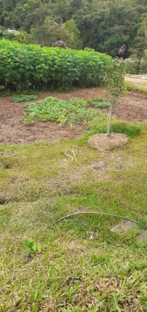 Sítio Chácara a venda com casa e área de 7.500 metros quadrados no município de Anitápolis-SC