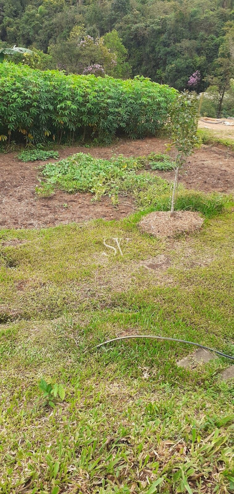 Sítio Chácara a venda com casa e área de 7.500 metros quadrados no município de Anitápolis-SC