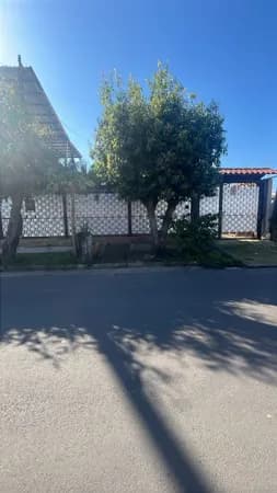 Casa Padrão ! Parque da Matriz !