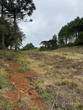 Lote/Terreno em Curitibanos - Centro