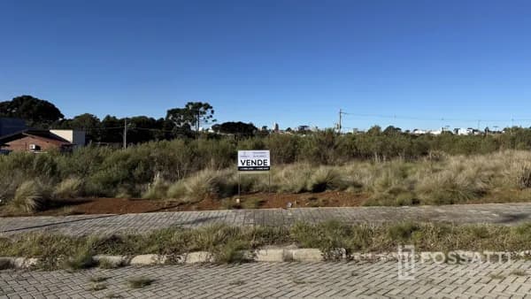 Lote/Terreno em Curitibanos - Centro
