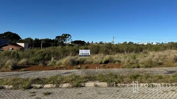 Lote/Terreno em Curitibanos - Centro