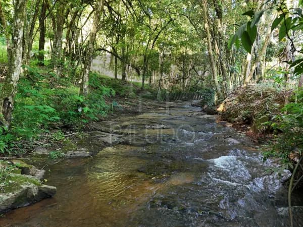 Fazenda/Sítios/Chácaras em Xaxim - Doutor Ari Lunardi