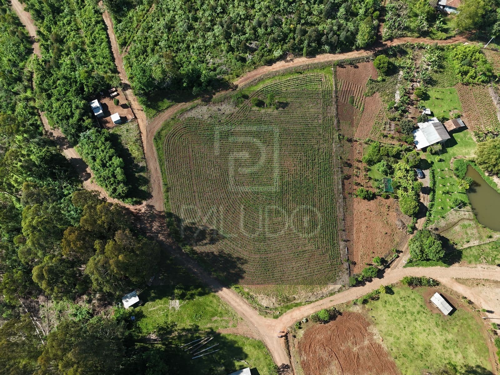 Área de terra
