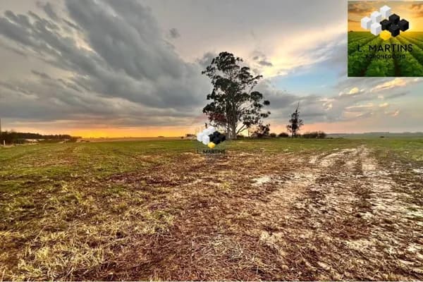 Vende-se Fazenda Área Rural em São Gabriel Lavoura e Pecuária