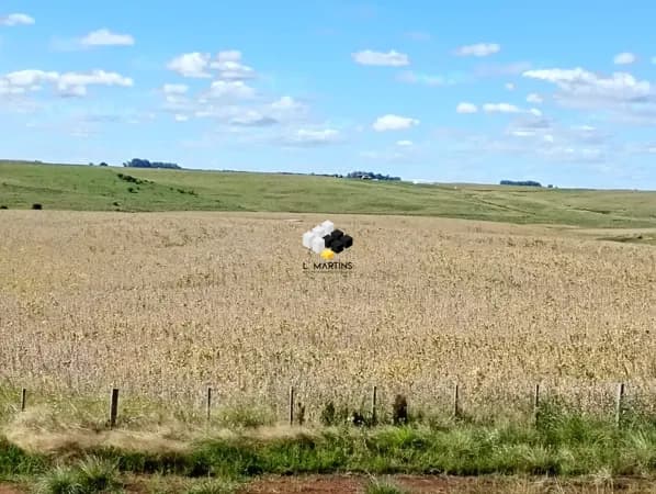 Fazenda a Venda em Alegrete 78% para Lavoura