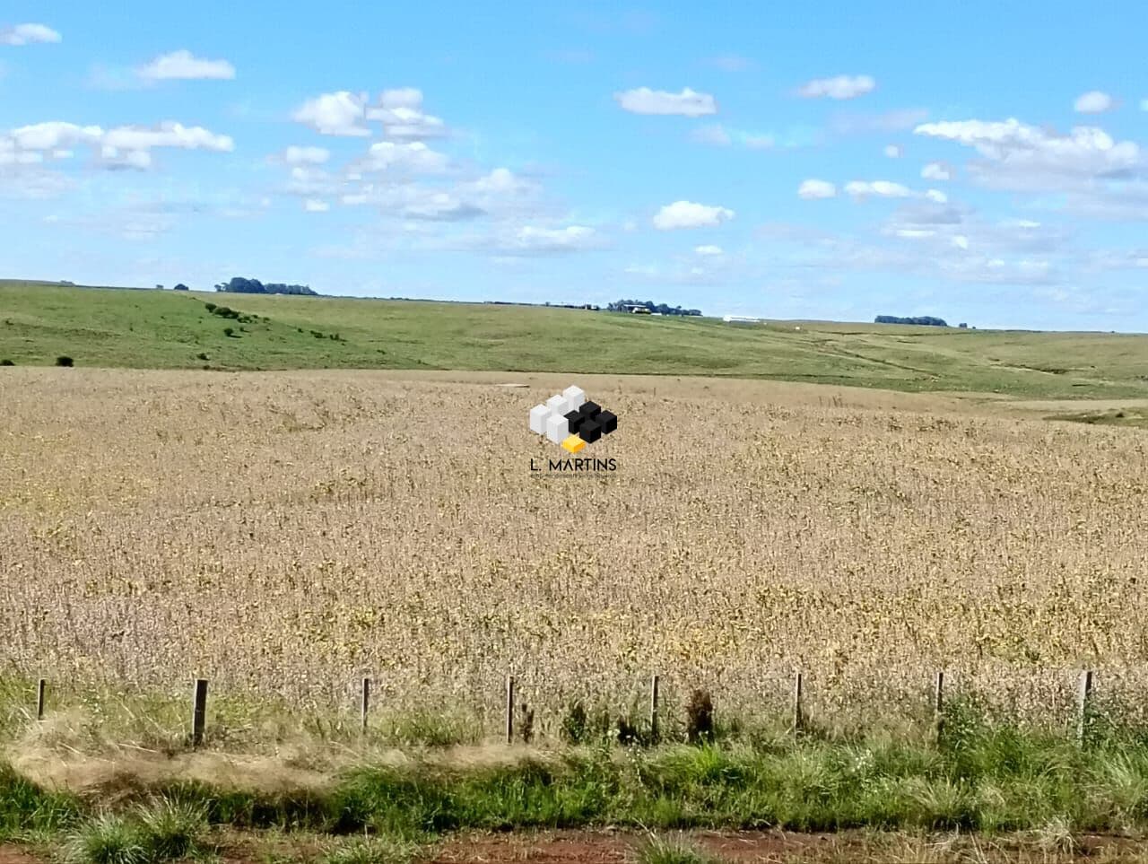 Fazenda a Venda em Alegrete 78% para Lavoura